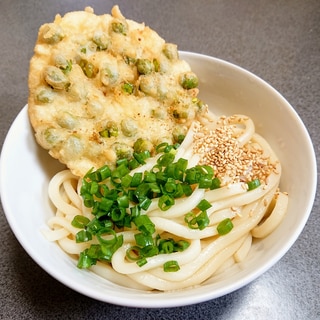 えんどう豆天の冷やしぶっかけうどん